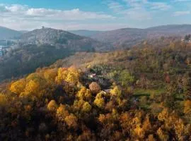 Holiday home Nanin konak 2