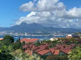 T3 de Standing aux trois ilets / Vue Mer