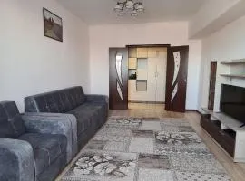 Flat in Central Bishkek