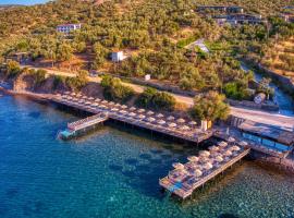 Assos Dionysos Hotel Adults Only 18, отель в Ассосе