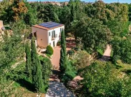Dream House