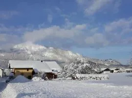 Chiemgauferienwohnungen - Wanderlust und Alpenrose