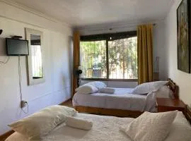 El Pillan "Travelers" House