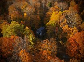 Mandy's Mountain Chalet, hotel que acepta mascotas en Dover
