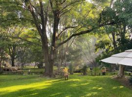 Magnolias Jardin & Boutique Suites，萊昂瓜納華託大學萊昂分校（University of Guanajuato Campus Léon）附近的飯店