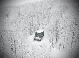 Mandy's Mountain Chalet, cabaña en Dover