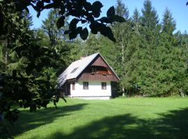 Apartment Lake Bohinj no. 5、ボーヒニのバケーションレンタル