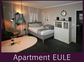 Apartment EULE - Gute-Nacht-Braunschweig