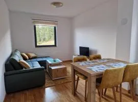 Cozy Ski Apartment Jahorina