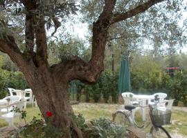 Casa Degli Ulivi, hotel a Tivoli