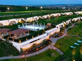 Casa Timiș - Wellness & Spa Resort