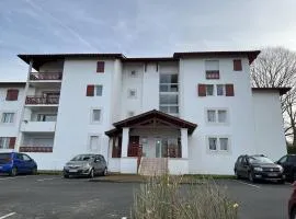 Appartement T2 à Cambo-les-Bains, proche centre et thermes, avec terrasse, parking, et accès internet - FR-1-495-74