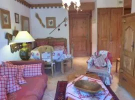 Chaleureux 3 pièces pour 4 pers avec terrasse aux Allues, proche ski et commerces - FR-1-411-624