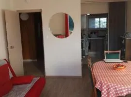 Appartement cosy 2 pièces cabine, proche commerces et pistes, 6 pers, animaux OK - FR-1-592-20