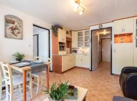 Appartement T2 avec balcon, parking et navette gratuite, au cœur de Saint-Lary-Soulan pour 4 personnes - FR-1-296-307