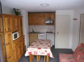 Appartement Les Adrets-Prapoutel, 2 pièces, 6 personnes - FR-1-557-35