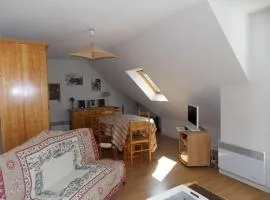 Luchon - Duplex 6 pers, Balcon Sud, Parking, Animaux admis - FR-1-313-161