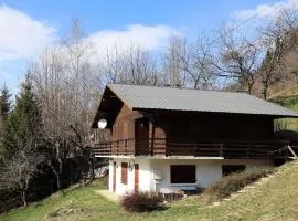 Chalet pour 6-8 pers. avec cheminée, plein sud et garage à 5 min du centre - FR-1-342-234
