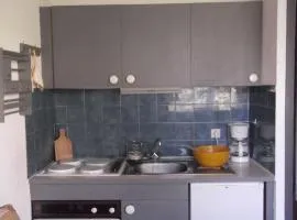 Studio lumineux 4 pers, proche télésiège et commerces, Orcières-Merlette - FR-1-262-175