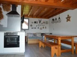 Chalet 6 pers. face au lac de Matemale, proche pistes de ski et commerces, Les Angles - FR-1-593-40