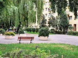 Kawalerka Stare Bielany