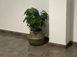 Seifía 2A
