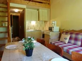 Appartement 7 personnes au pied des pistes avec parking à Arêches-Beaufort - FR-1-342-199