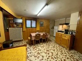 GENTIANES 0-Studio basic proche pistes 4 pers