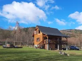 Szychów z widokiem