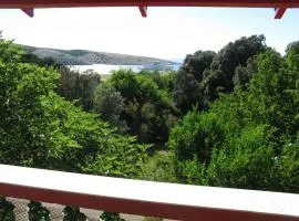 Apartment in Lopar with sea view, terrace, air conditioning, WiFi 4229-2