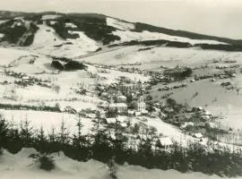 Třilužkovy pokoj Standart ID pokoje 4917188