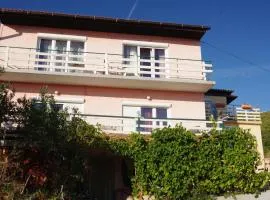 Apartments Opsenica Barbat