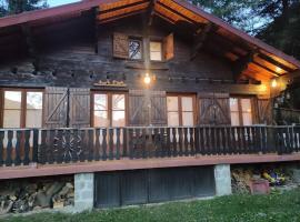 Chalet accueillant et familial, hotel in Saint-Martin-Vésubie