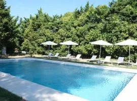 charming house with private pool in lagnes, near isle sur la sorgue, in the luberon, in Provence, for 8 people