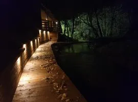 Apartament nad Przykopą