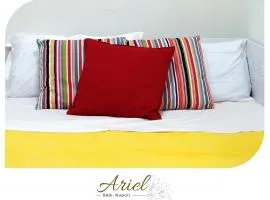 ARIEL B&B