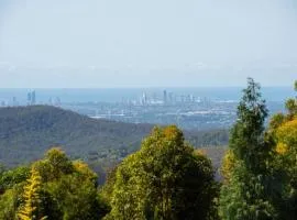 Spectacular Gold Coast Skyline Views