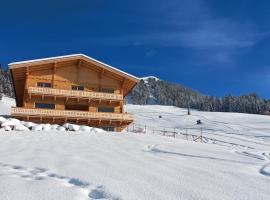 Bauernhof Streitenau: Hopfgarten im Brixental, Salvenbahn II yakınında bir otel