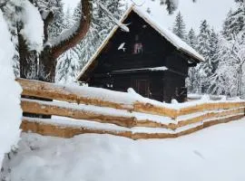 Urige Waldbienenhütte