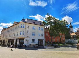 Hotel Domus Collis, hotel i Győr