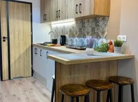 Apartament w sercu miasta