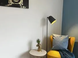 Erasmus House - 3 Bedrooms - City Centre, Netflix, WIFI, Free Private Parking