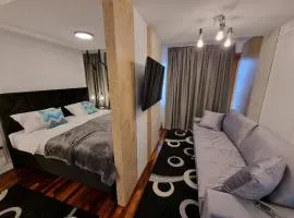 Apartman Vučko 118