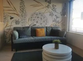 Le Château des Abeilles - appartement récemment rénové - proche centre village et route des vins