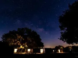 The Container Retreat @ 290 Wine Trail #5 Starry nights