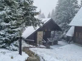 Apartment Bajta - Rogla