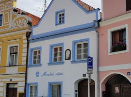 Modrá růže Třeboň, hotel in Třeboň