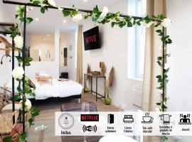 NG SuiteHome - Lille I Tourcoing Winoc - Balnéo - Netflix - Wifi, hotelli kohteessa Tourcoing
