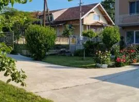 Green Village Life