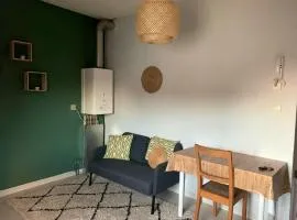Modern studio in Saint-Nicolas, 35m², city view, parking